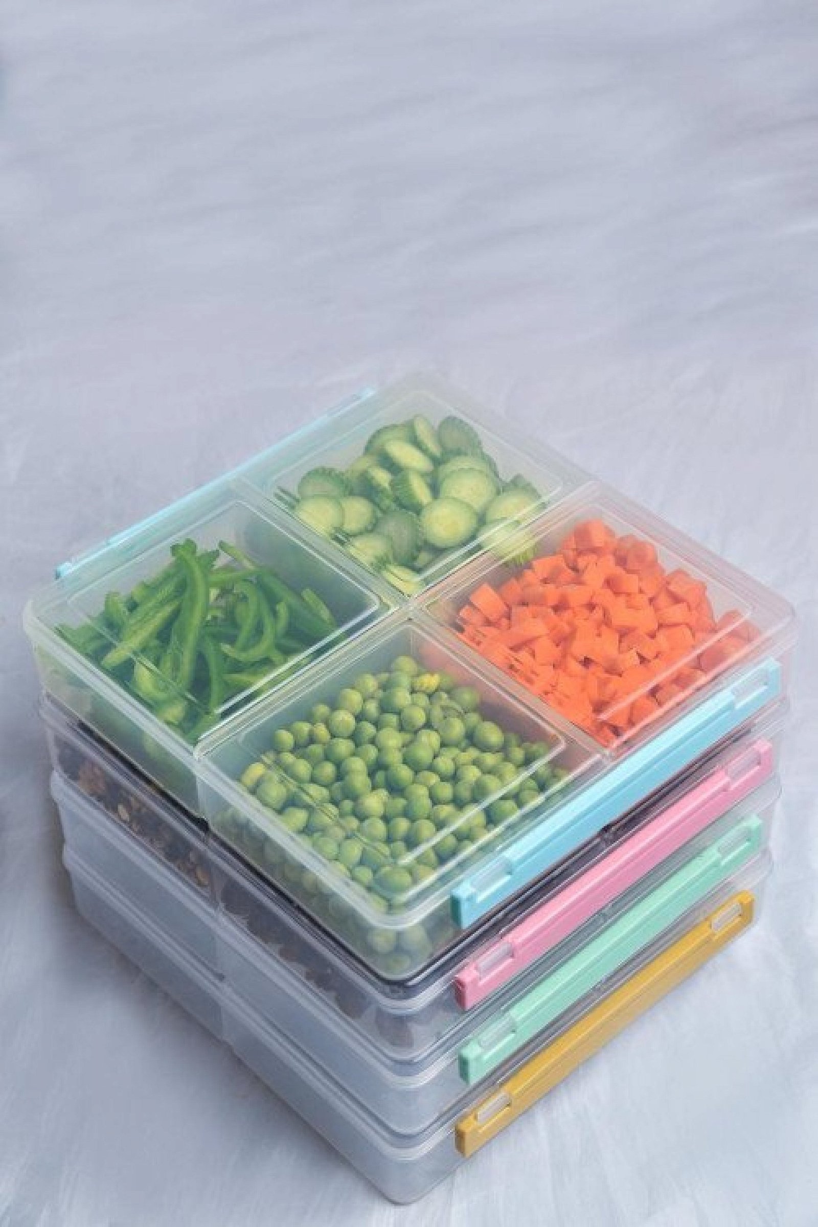 4 Grid Airtight Freezer Box With Lid & Lock | Clear Storage Box | Frozen Food Fruit Organizer